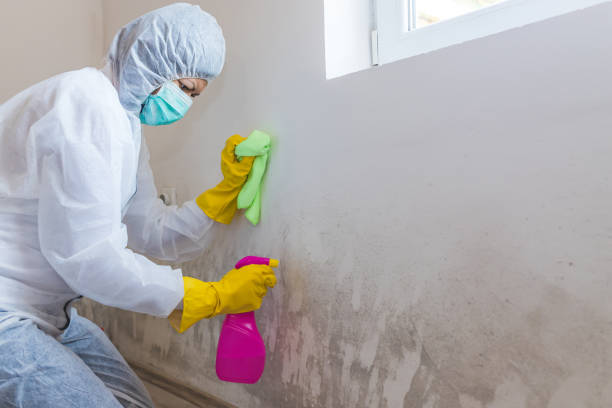 Best Commercial Mold Inspection  in East Syracuse, NY